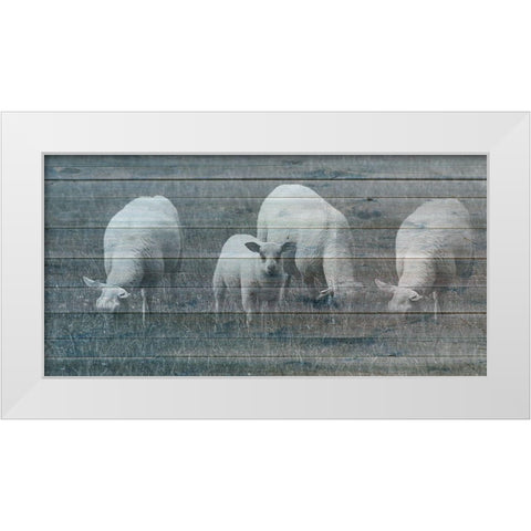 Sheepish 2 White Modern Wood Framed Art Print by Phillip, Jamie