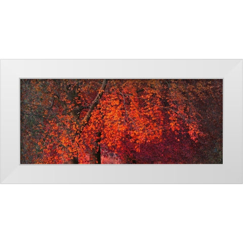 Mystical Tree White Modern Wood Framed Art Print by Phillip, Jamie