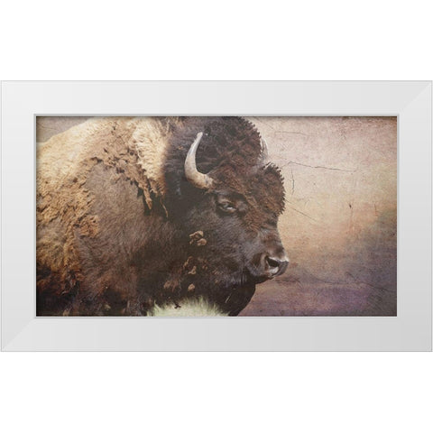 Wild Bison White Modern Wood Framed Art Print by Phillip, Jamie