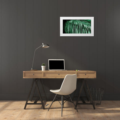 Palm Branch White Modern Wood Framed Art Print by Phillip, Jamie