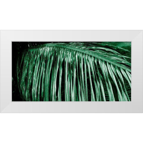Palm Branch White Modern Wood Framed Art Print by Phillip, Jamie