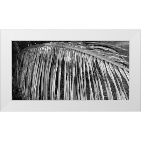 Palm Branch 2 White Modern Wood Framed Art Print by Phillip, Jamie