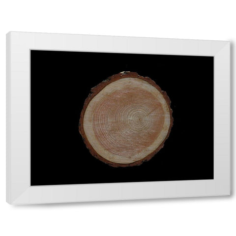 Wood Rings 2 White Modern Wood Framed Art Print by Phillip, Jamie