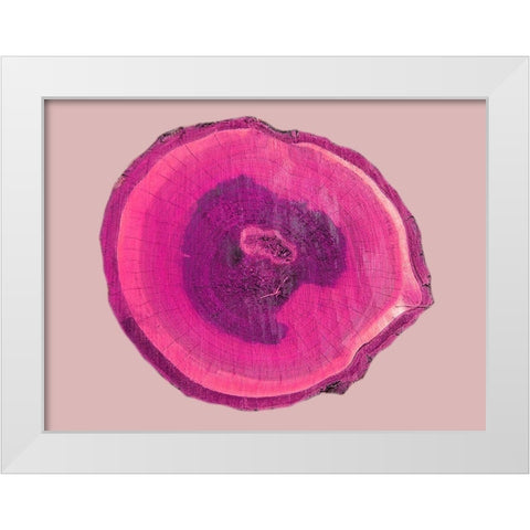 Wood Rings 4 White Modern Wood Framed Art Print by Phillip, Jamie