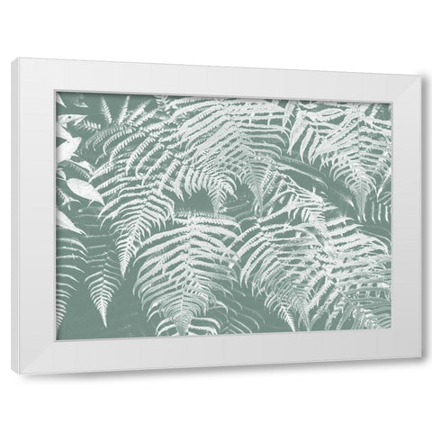 Fern Times White Modern Wood Framed Art Print by Phillip, Jamie