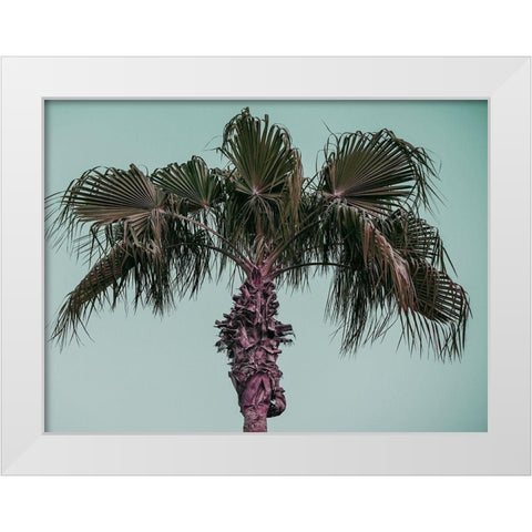 Cocoloco White Modern Wood Framed Art Print by Phillip, Jamie