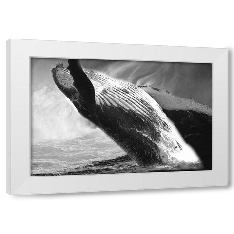 Black Whale White Modern Wood Framed Art Print by Phillip, Jamie