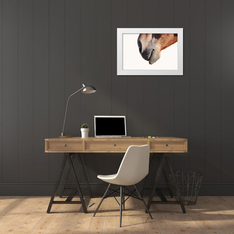 Horse White Modern Wood Framed Art Print by Phillip, Jamie