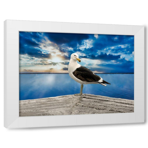 Ocean Bird White Modern Wood Framed Art Print by Phillip, Jamie