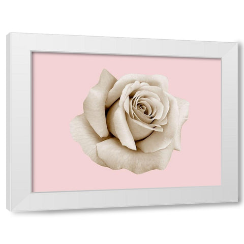 Rose Dust White Modern Wood Framed Art Print by Phillip, Jamie