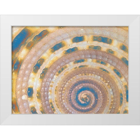 Coated  Spots White Modern Wood Framed Art Print by Phillip, Jamie