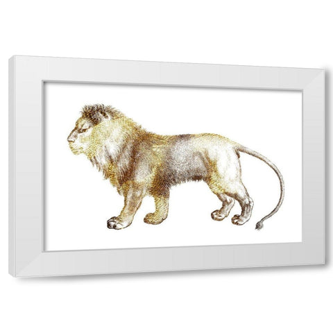 Leo White Modern Wood Framed Art Print by Phillip, Jamie