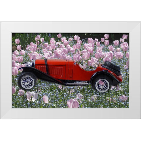 Flower Car White Modern Wood Framed Art Print by Phillip, Jamie