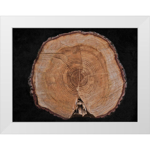 Dark Wood White Modern Wood Framed Art Print by Phillip, Jamie