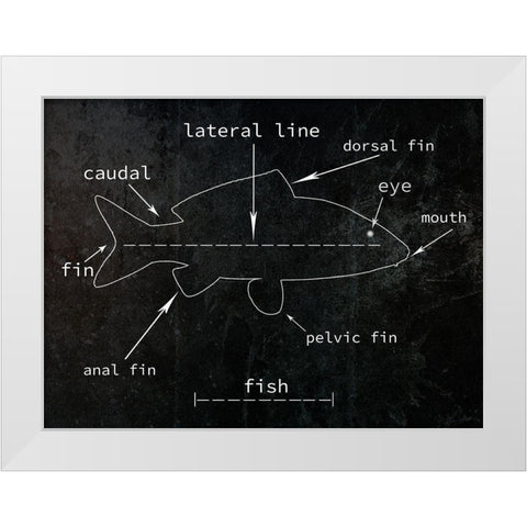 Fish White Modern Wood Framed Art Print by Phillip, Jamie