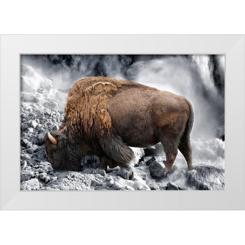 Bison Season 3 White Modern Wood Framed Art Print by Phillip, Jamie