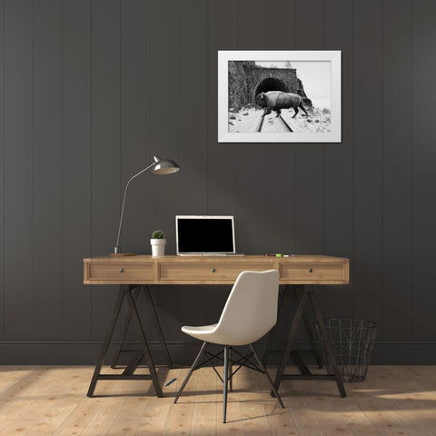 Bison Season 5 White Modern Wood Framed Art Print by Phillip, Jamie