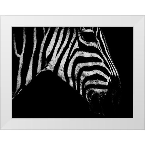 Africa Savanna 2 White Modern Wood Framed Art Print by Phillip, Jamie