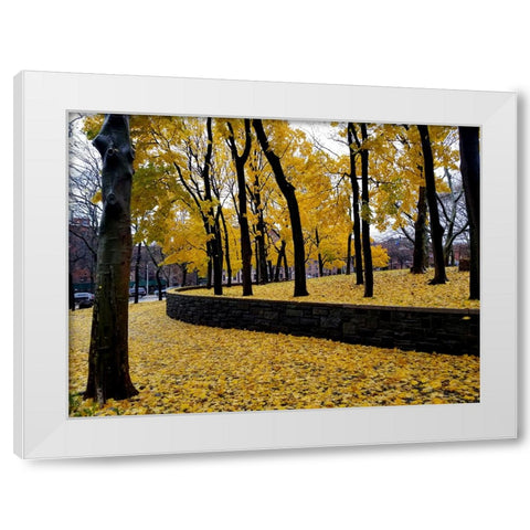 Silent Nature 2 White Modern Wood Framed Art Print by Phillip, Jamie