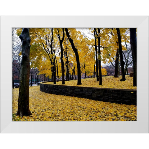 Silent Nature 2 White Modern Wood Framed Art Print by Phillip, Jamie