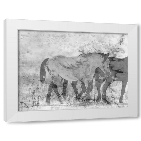 Ranch Horse White Modern Wood Framed Art Print by Phillip, Jamie