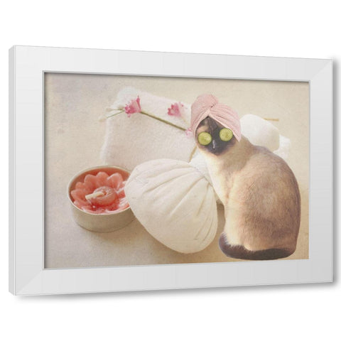 Members Only Cat Spa White Modern Wood Framed Art Print by Phillip, Jamie