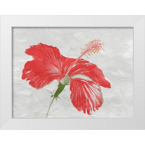 Red Hib White Modern Wood Framed Art Print by Phillip, Jamie