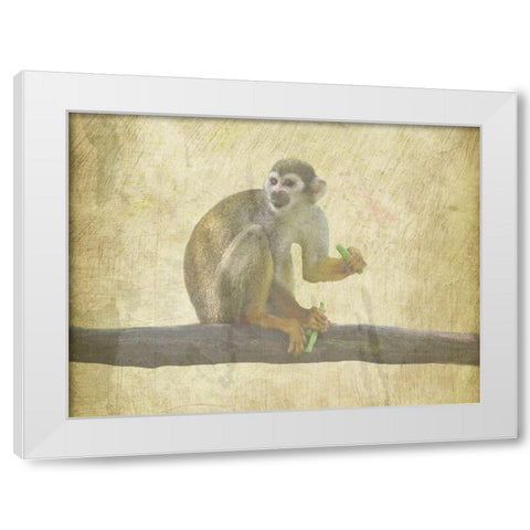 Monkey Around White Modern Wood Framed Art Print by Phillip, Jamie