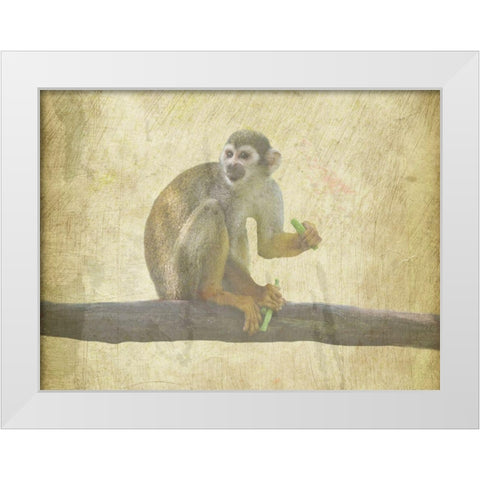 Monkey Around White Modern Wood Framed Art Print by Phillip, Jamie
