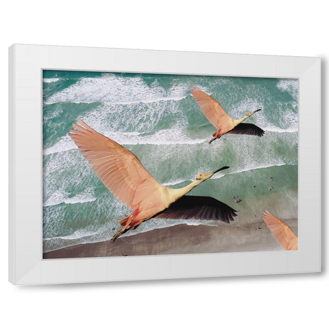 Fly High White Modern Wood Framed Art Print by Phillip, Jamie
