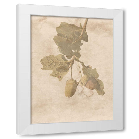 On The Trail White Modern Wood Framed Art Print by Phillip, Jamie
