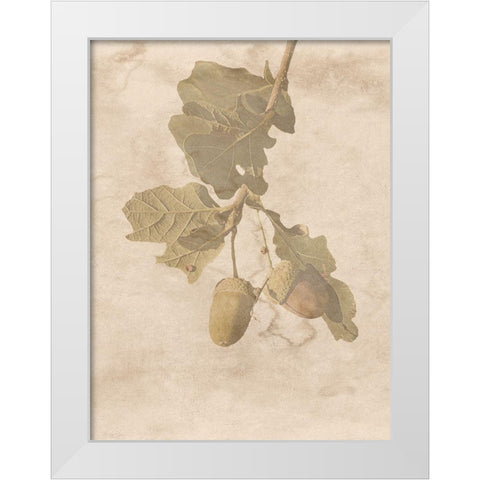 On The Trail White Modern Wood Framed Art Print by Phillip, Jamie