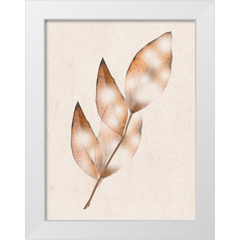 Brown Fall White Modern Wood Framed Art Print by Phillip, Jamie