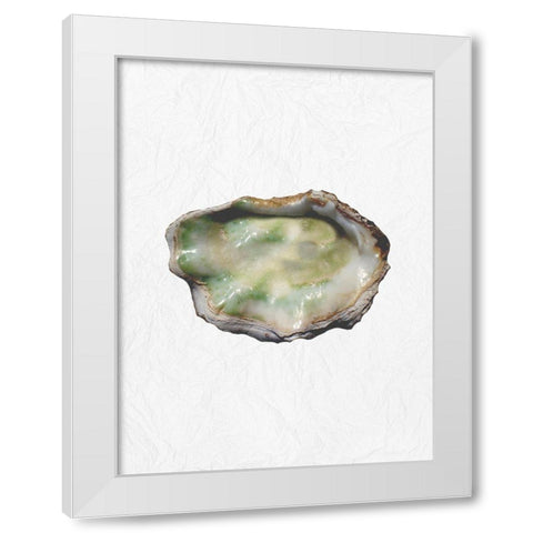 Oyster Shell 2 White Modern Wood Framed Art Print by Phillip, Jamie