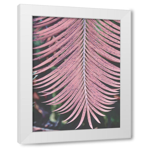 Tropical Palm 1 White Modern Wood Framed Art Print by Phillip, Jamie
