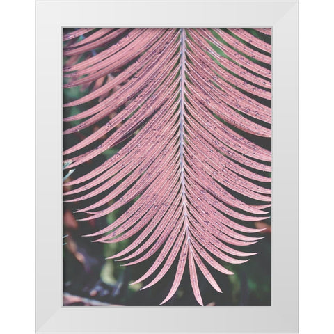 Tropical Palm 1 White Modern Wood Framed Art Print by Phillip, Jamie