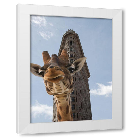 Way Over 1 White Modern Wood Framed Art Print by Phillip, Jamie