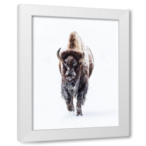 Journey White Modern Wood Framed Art Print by Phillip, Jamie