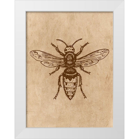 Specimen 1 White Modern Wood Framed Art Print by Phillip, Jamie