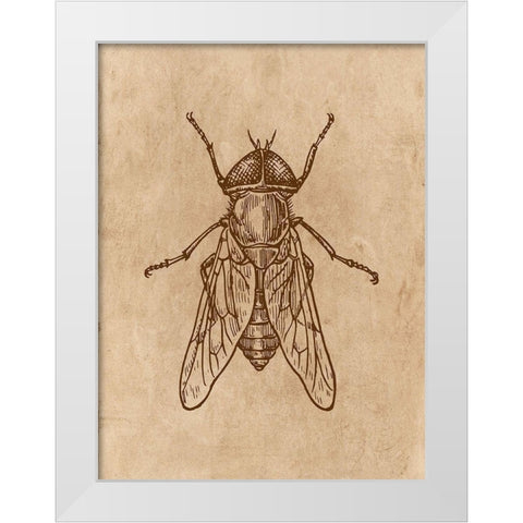 Specimen 2 White Modern Wood Framed Art Print by Phillip, Jamie