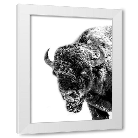 Snow Motion 2 White Modern Wood Framed Art Print by Phillip, Jamie