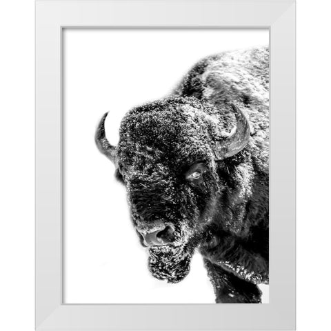 Snow Motion 2 White Modern Wood Framed Art Print by Phillip, Jamie