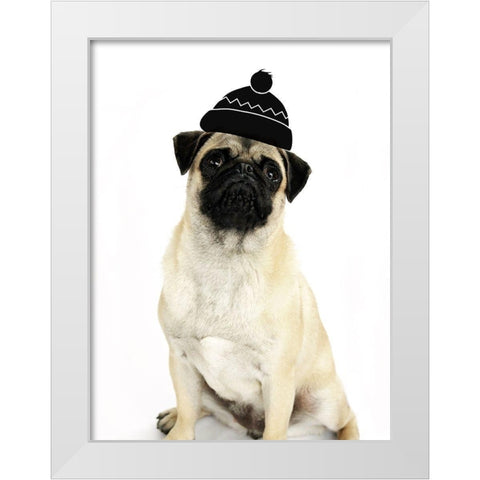 Cute Dog White Modern Wood Framed Art Print by Phillip, Jamie