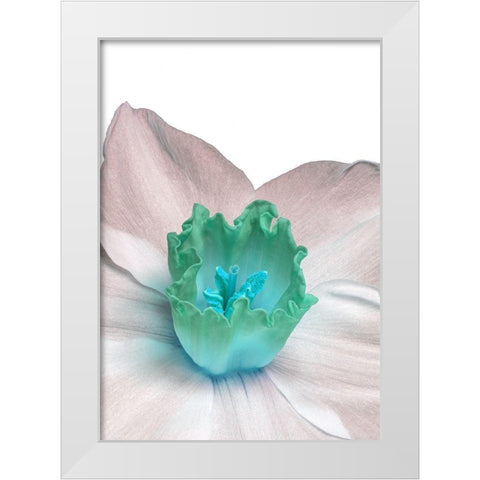 Spectanva White Modern Wood Framed Art Print by Phillip, Jamie