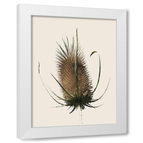 Caliveni 1 White Modern Wood Framed Art Print by Phillip, Jamie