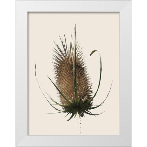 Caliveni 1 White Modern Wood Framed Art Print by Phillip, Jamie