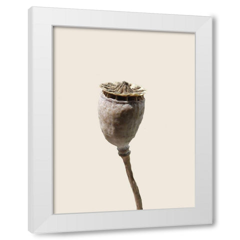 CalIveni 2 White Modern Wood Framed Art Print by Phillip, Jamie