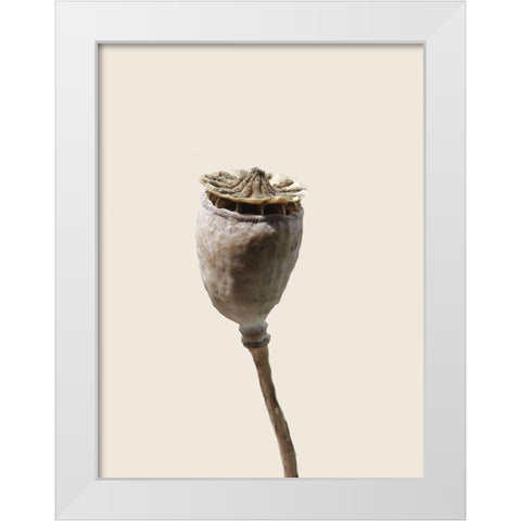 CalIveni 2 White Modern Wood Framed Art Print by Phillip, Jamie