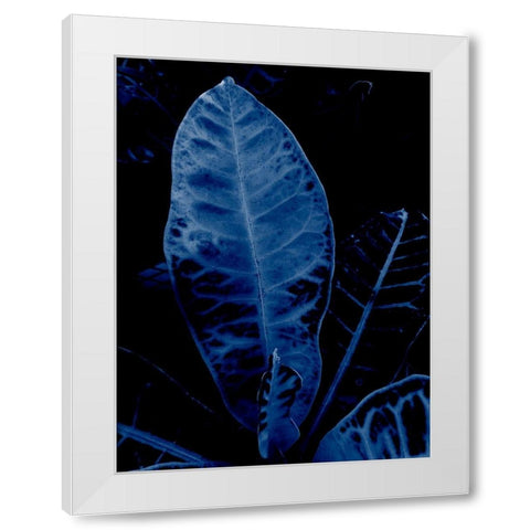 Tropical 2 White Modern Wood Framed Art Print by Phillip, Jamie