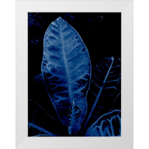 Tropical 2 White Modern Wood Framed Art Print by Phillip, Jamie